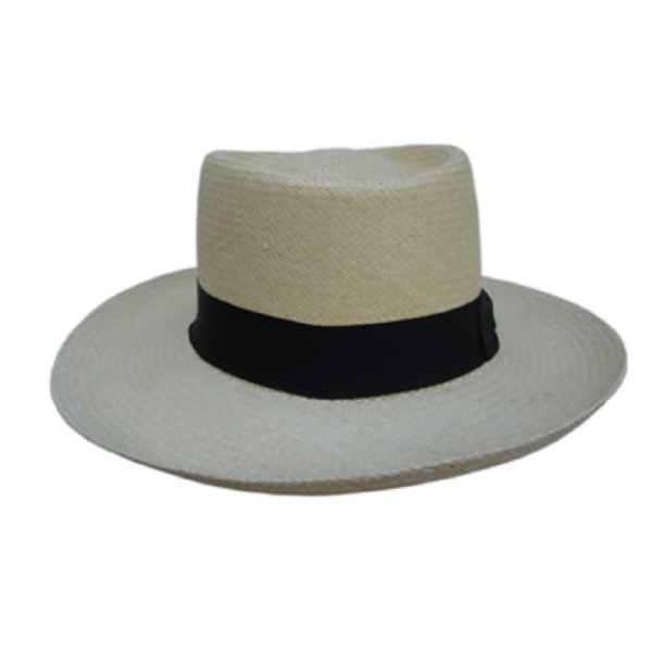 Panama gambler hat online